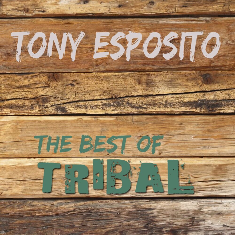 Picture of The Best of Tribal