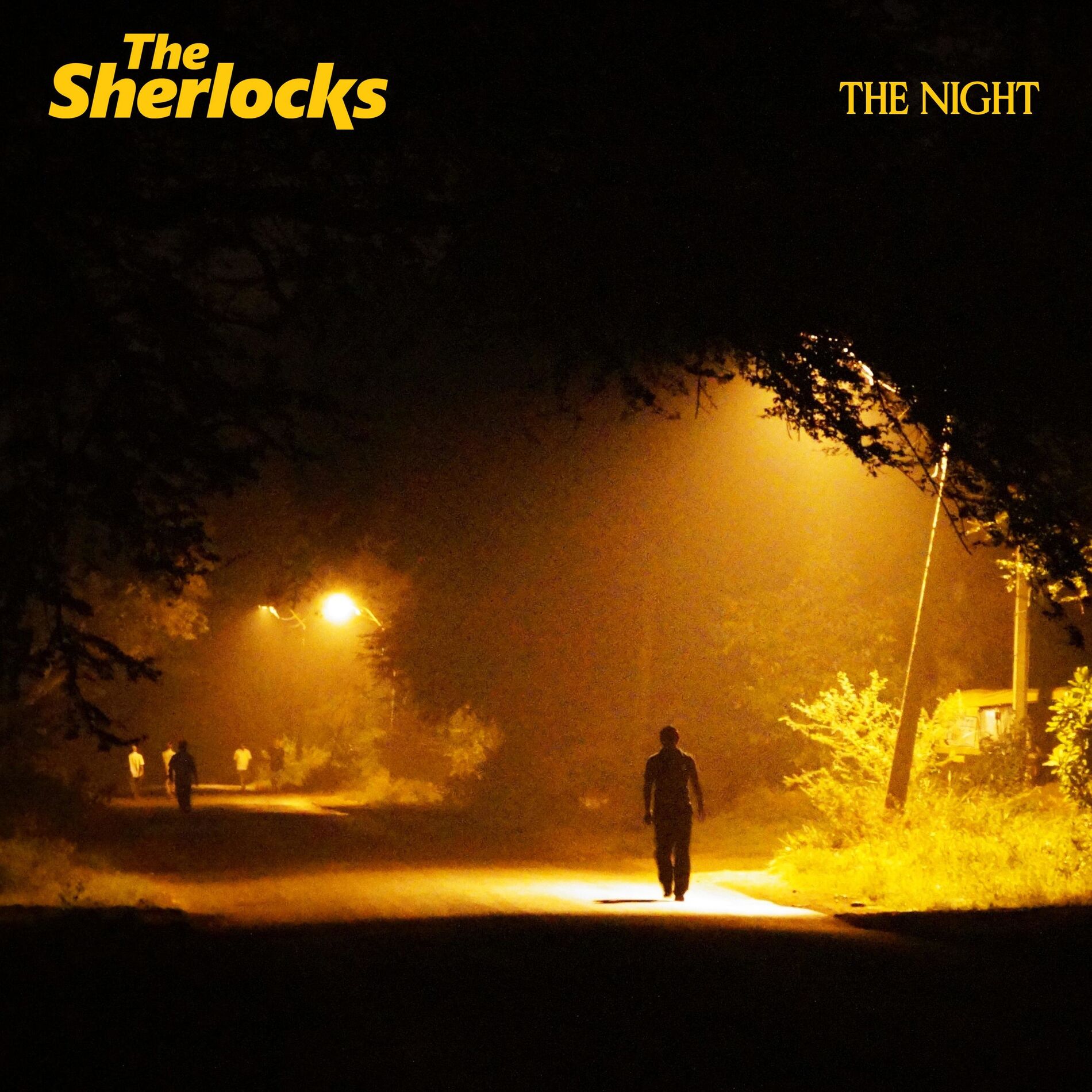 Album cover of The Night