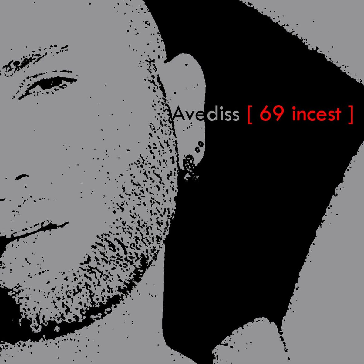 Album cover of 69 Incest