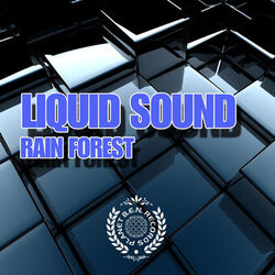 Cover of Rain Forest