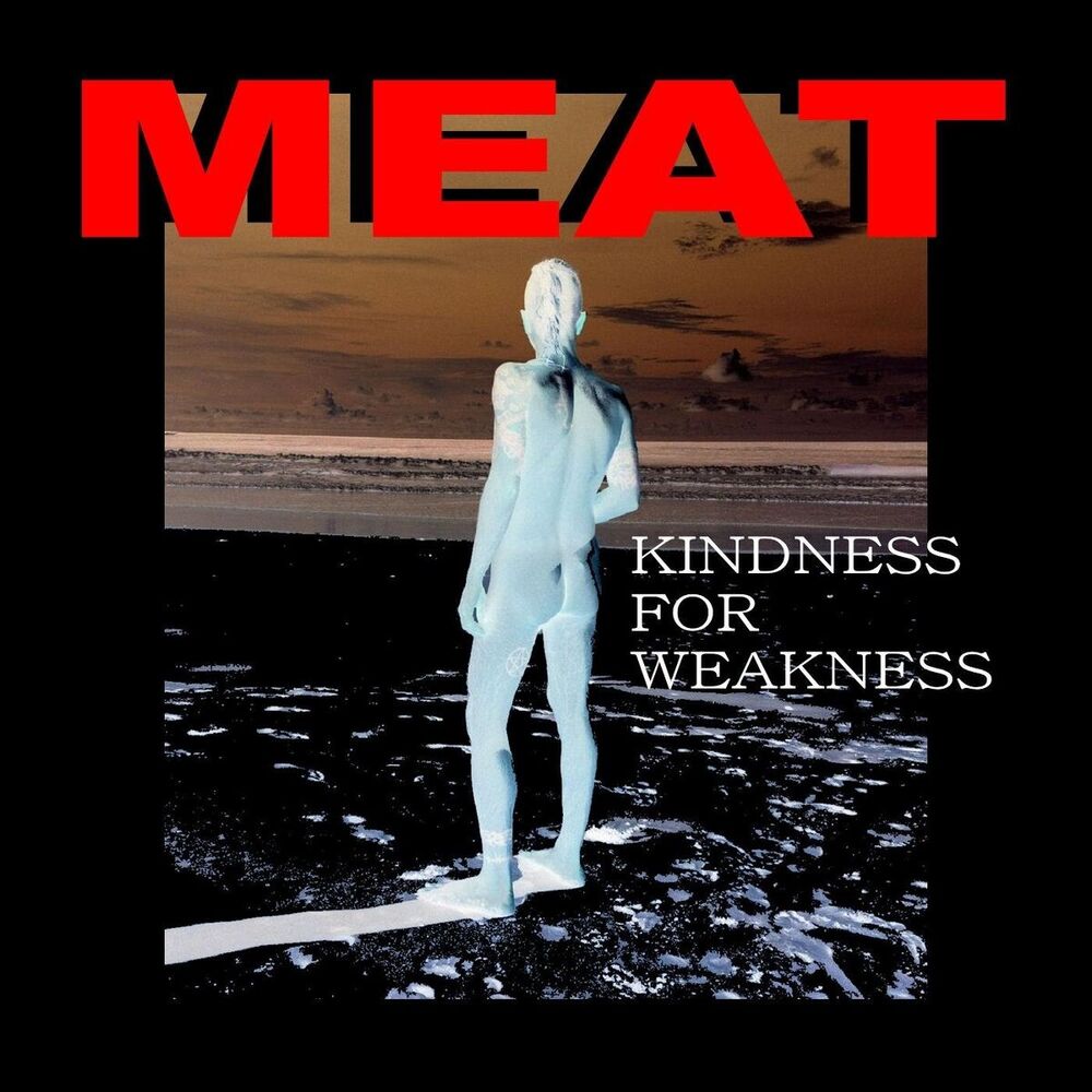 Picture of Kindness for Weaknesss