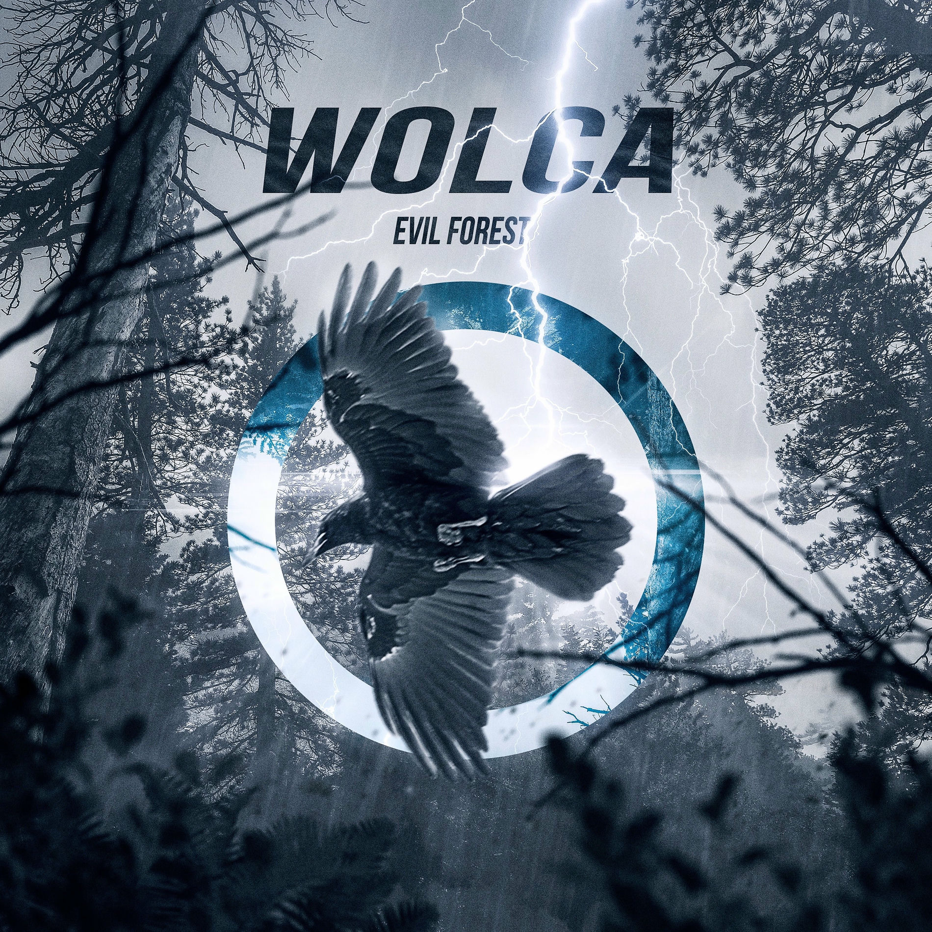 Album cover of Evil Forest