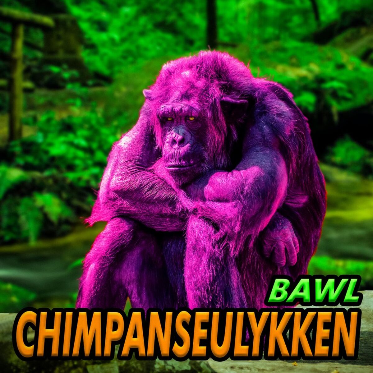 Album cover of Chimpanseulykken
