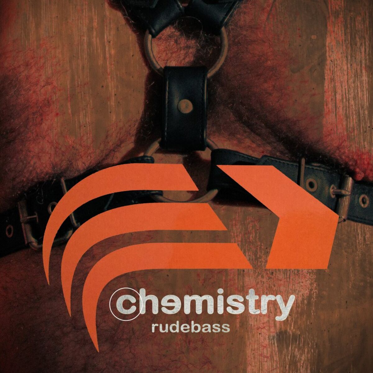 Album cover of Rudebass