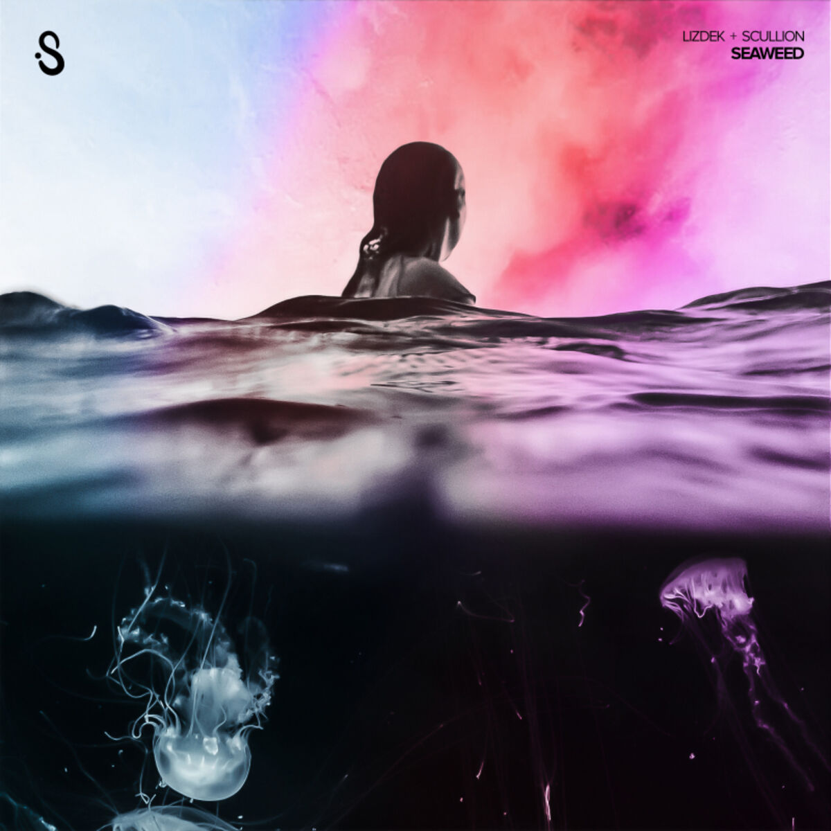 Album cover of Seaweed