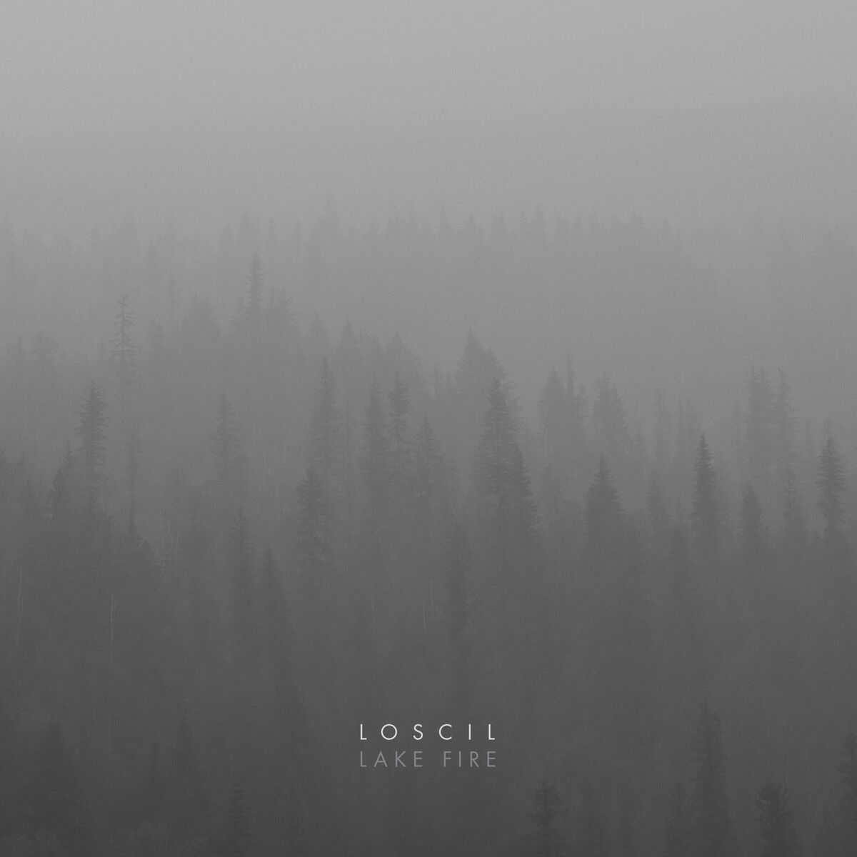 Album cover of Lake Fire