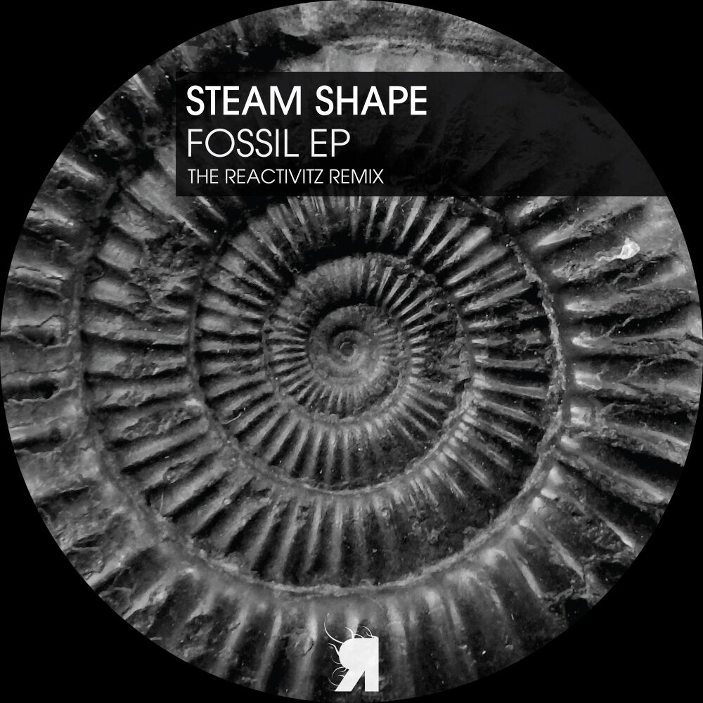 Picture of Fossil EP
