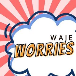 Cover of Worries