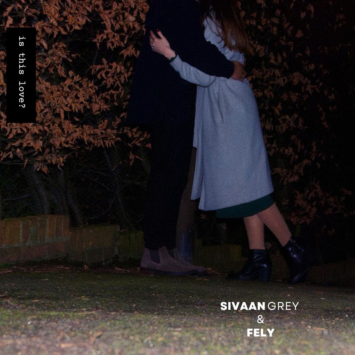 Album cover of is this love?