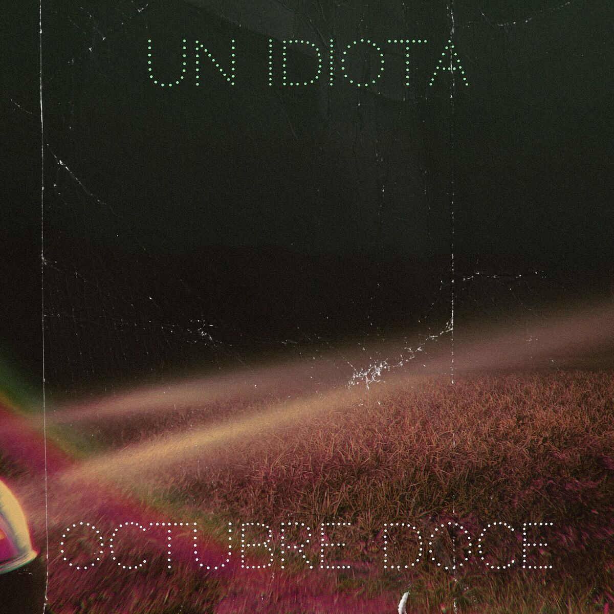Album cover of Un Idiota