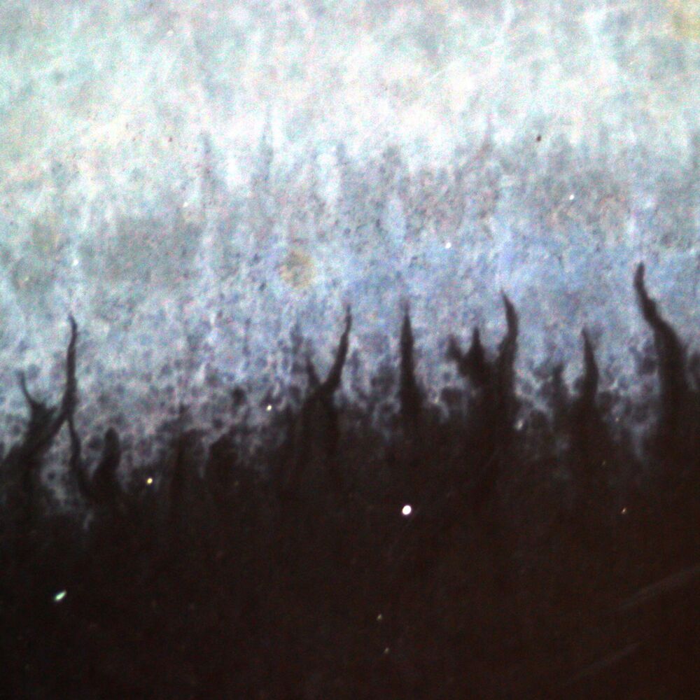 Picture of Scars of the Shattered Sky