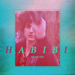 Cover of Habibi