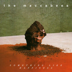 Cover of Something Like Happiness