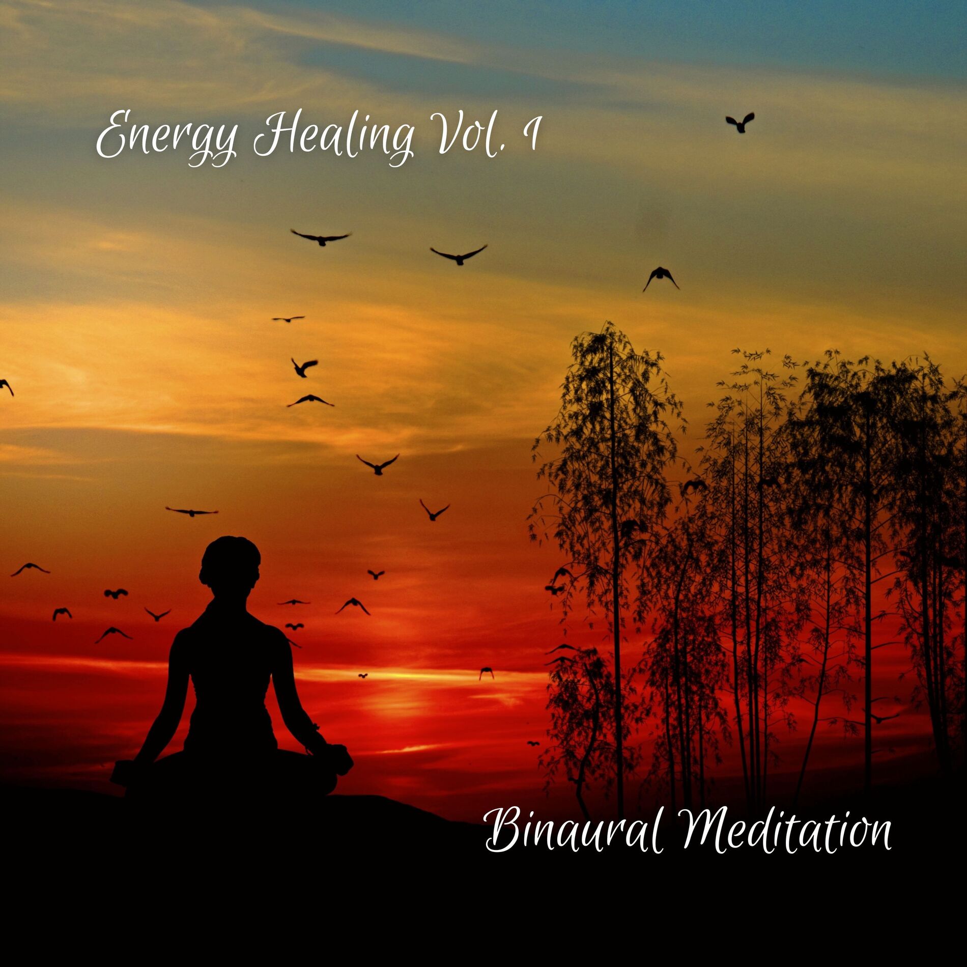 Album cover of Binaural Meditation: Energy Healing Vol. 1