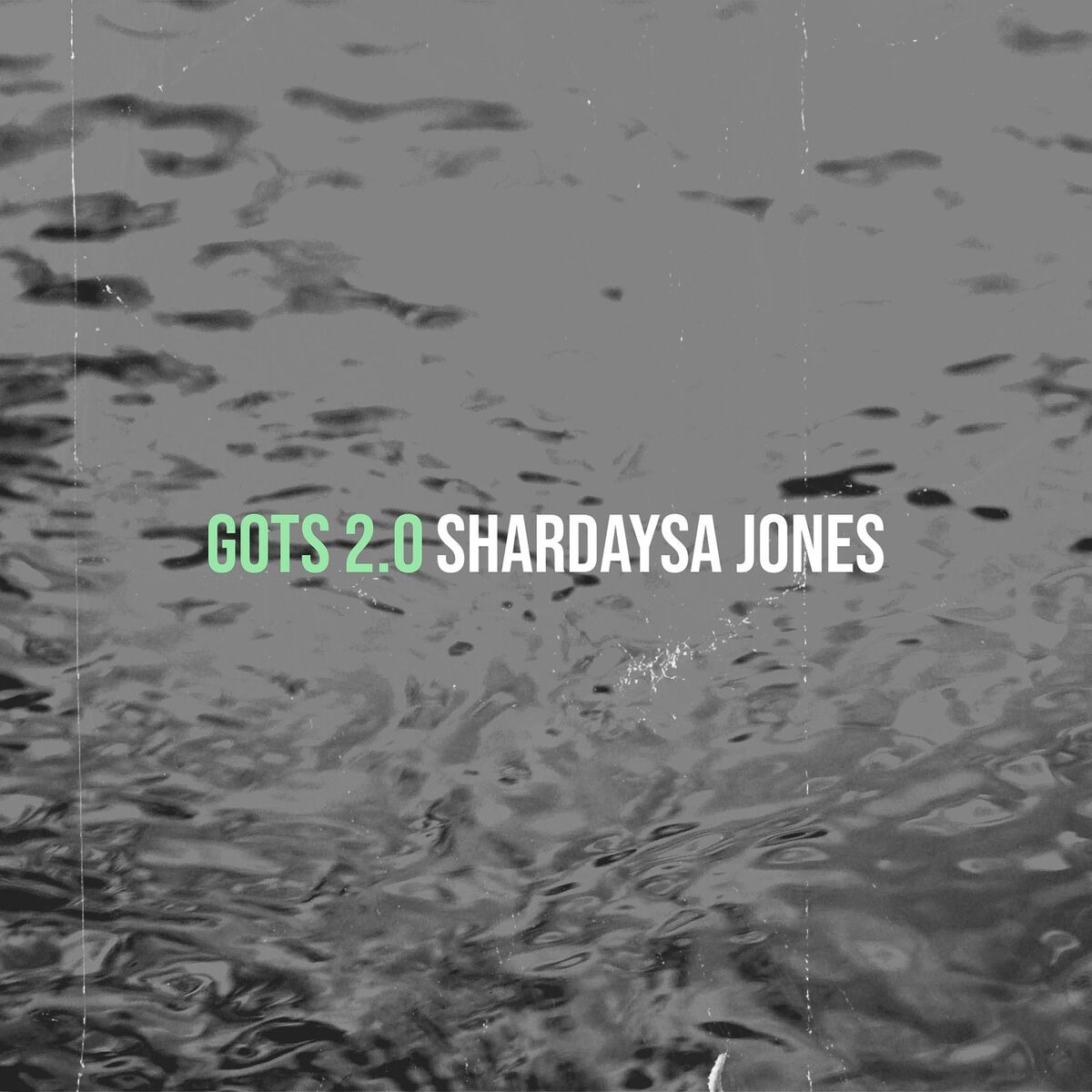 Album cover of Gots 2.0
