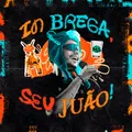 Amando Você