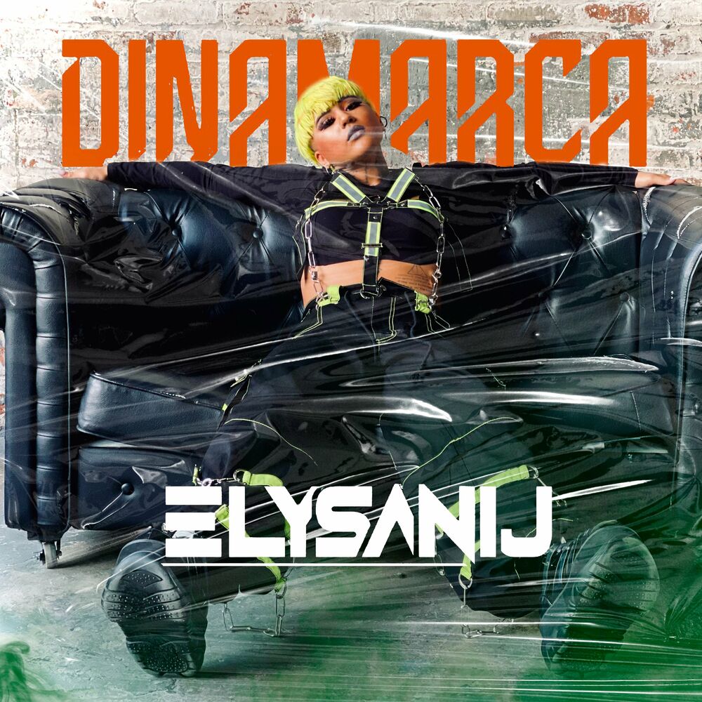 Picture of DINAMARCA