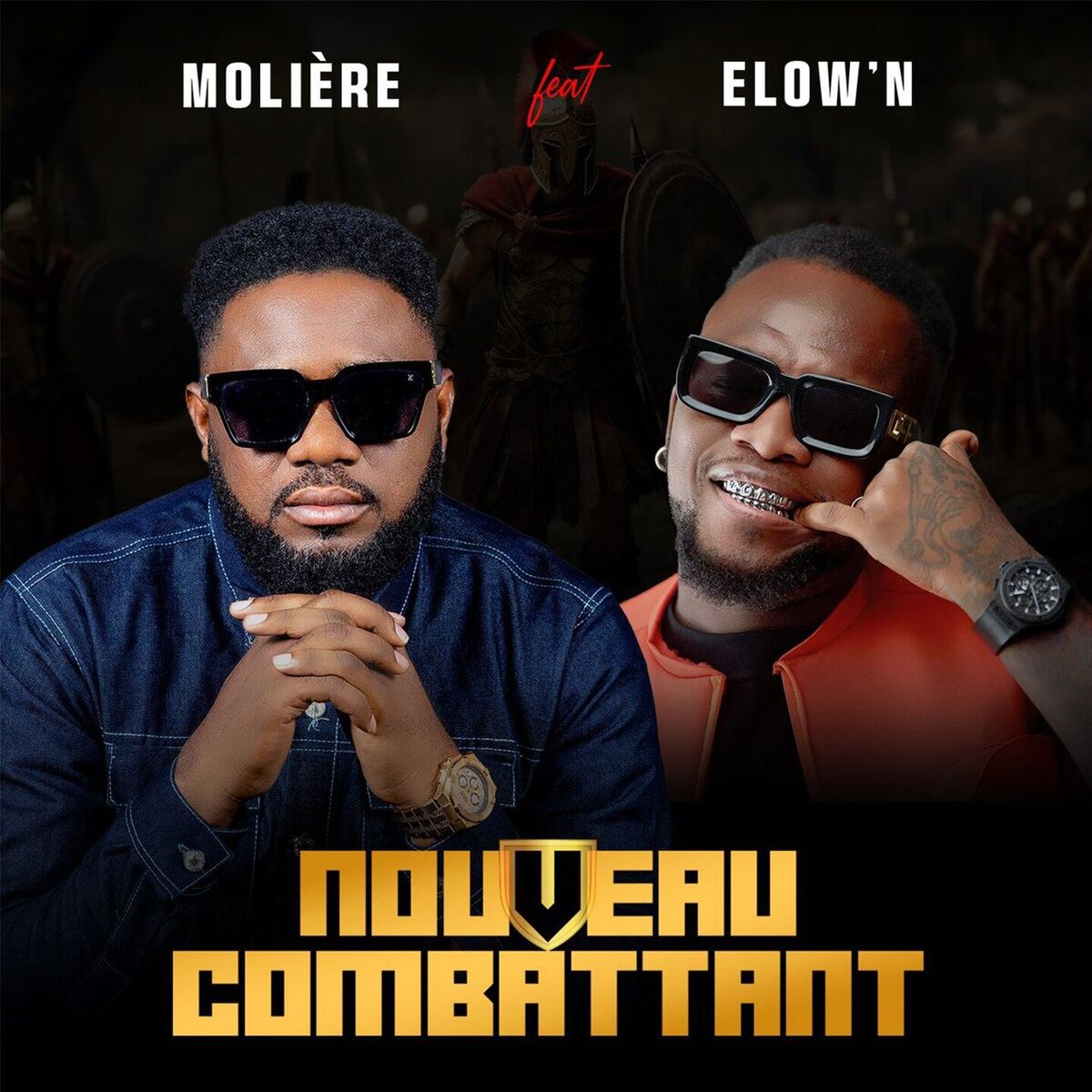 Album cover of Nouveau Combattant