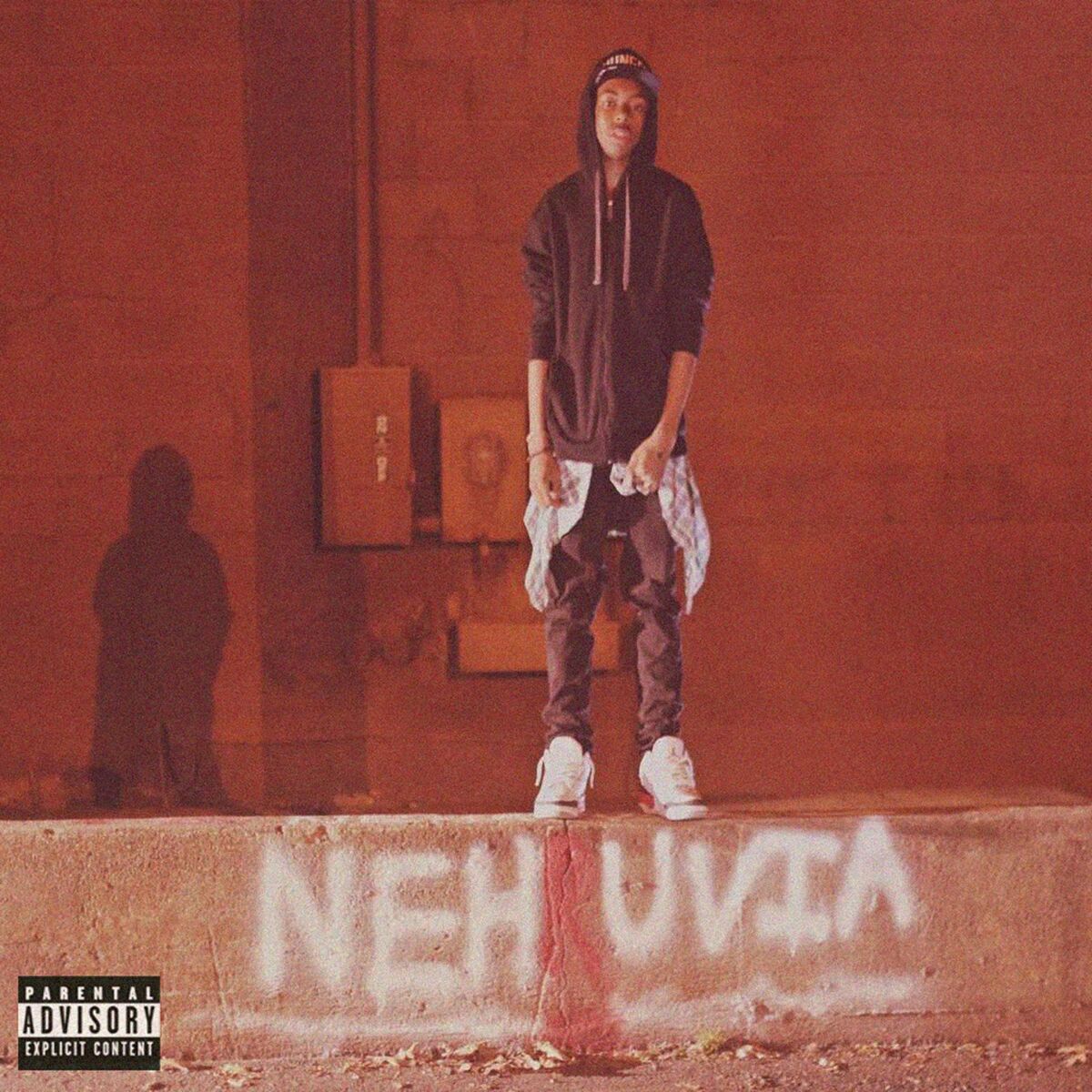 Album cover of Nehruvia (Redux)