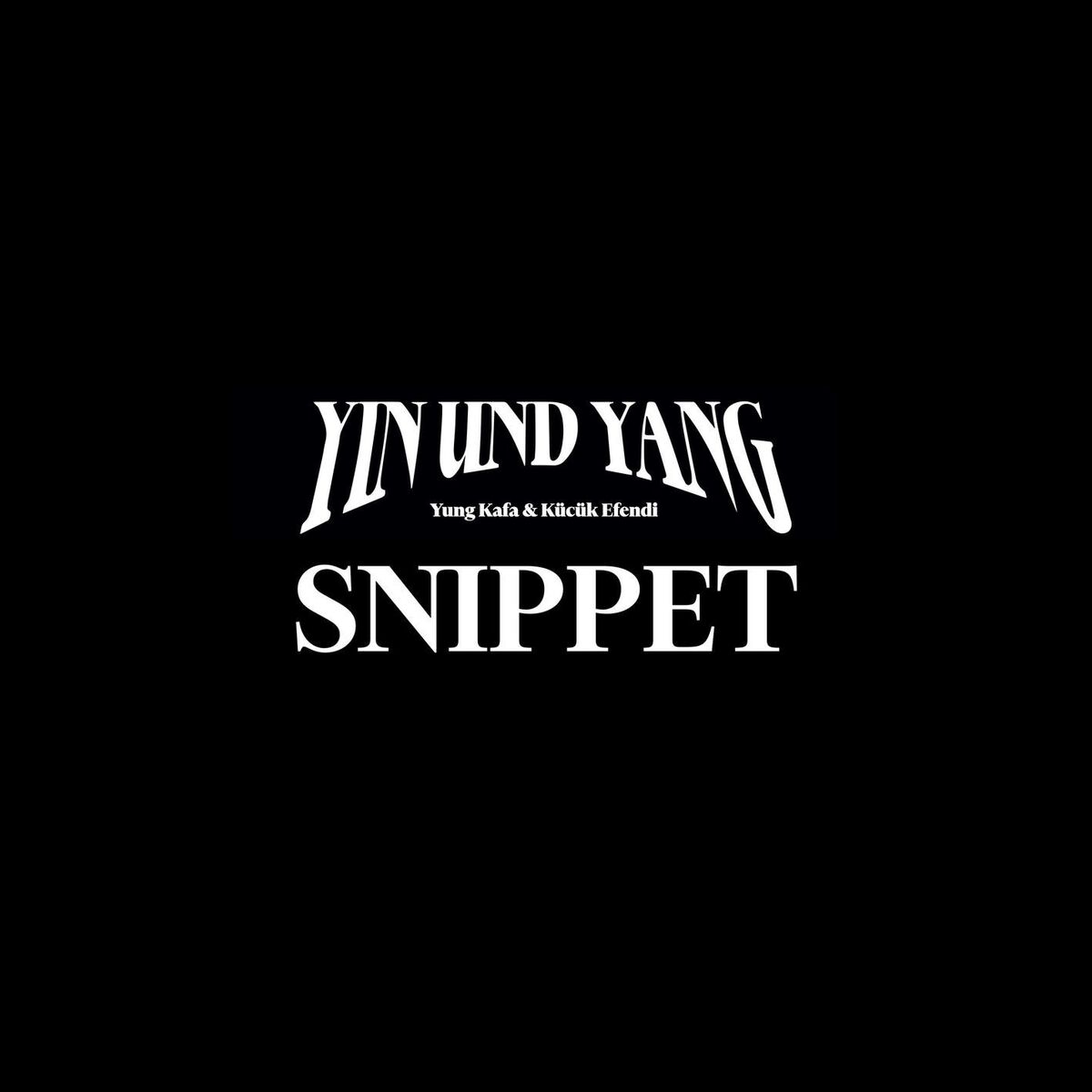 Album cover of YIN und YANG - Snippet