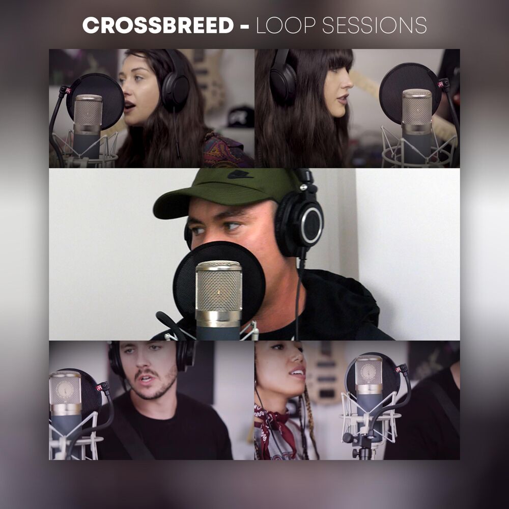 Picture of Loop Sessions