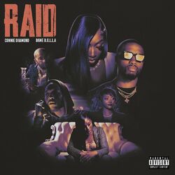 Cover of Raid