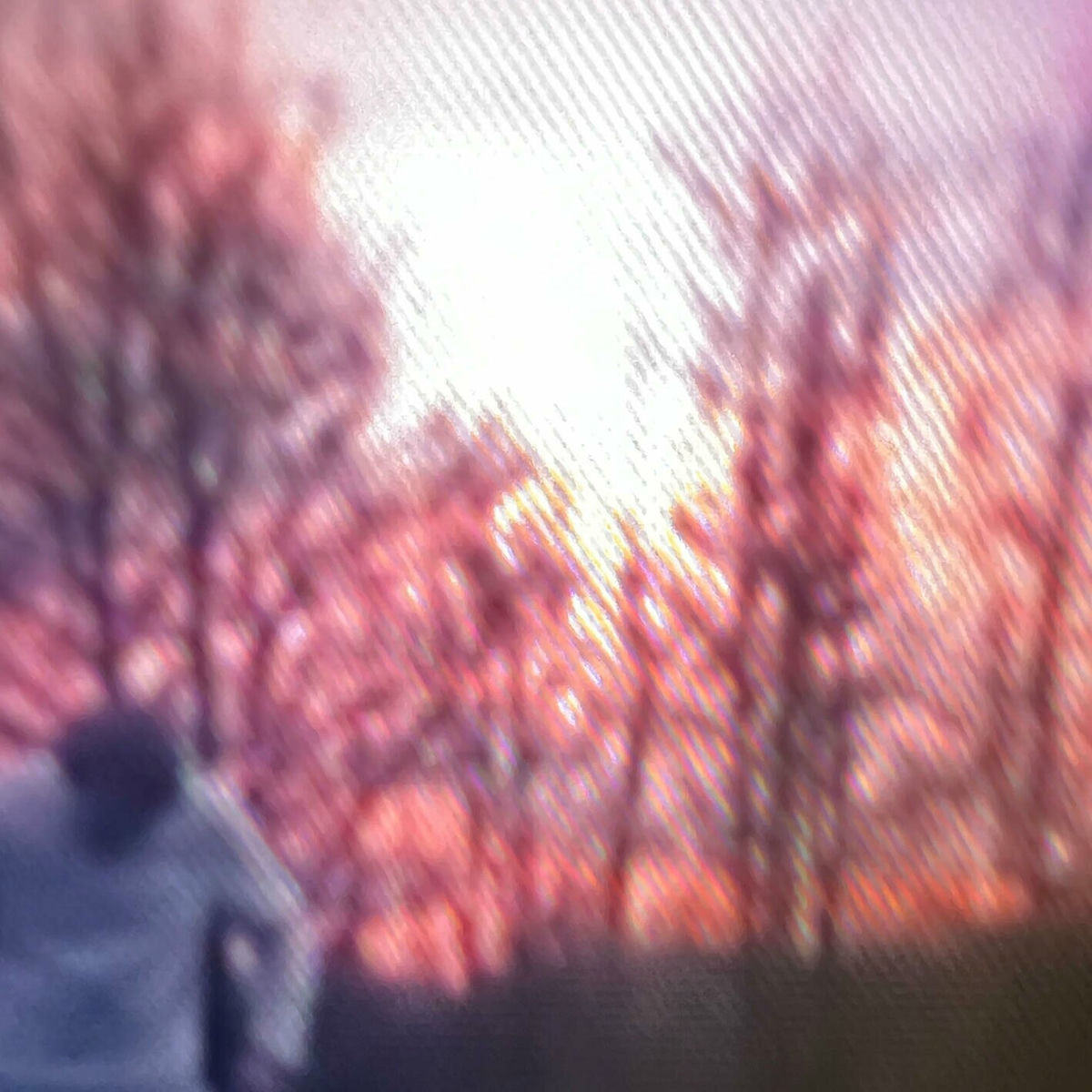 Album cover of Gar nichts sagen