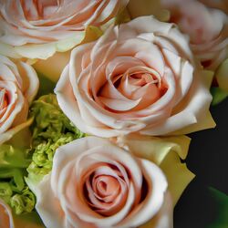 Cover of Hoy Te Mande Una Rosa