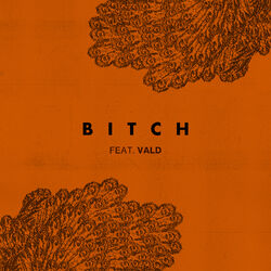 Cover of Bitch (feat. Vald)