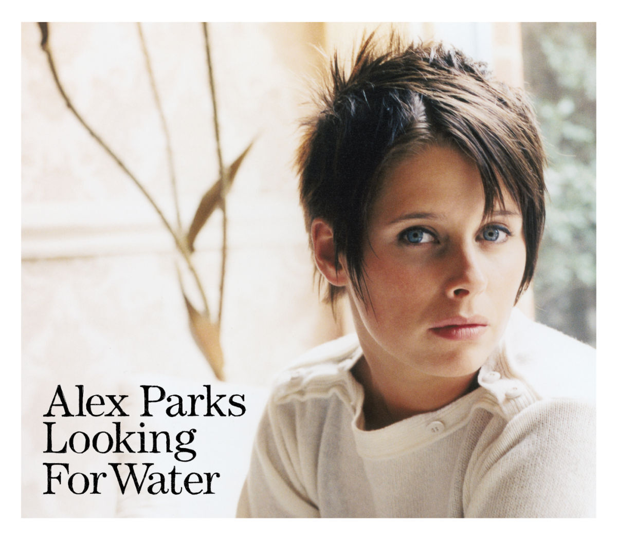 Album cover of Looking For Water