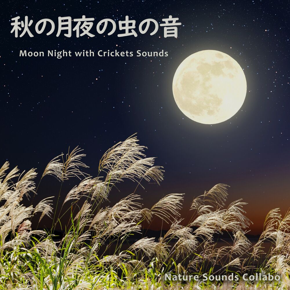 Picture of Moon Night with Crickets Sounds