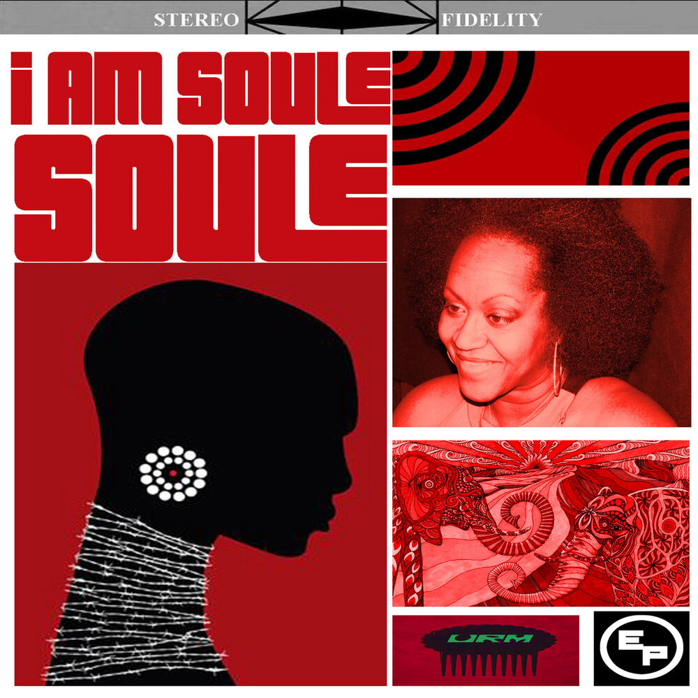 Picture of I Am SOULe