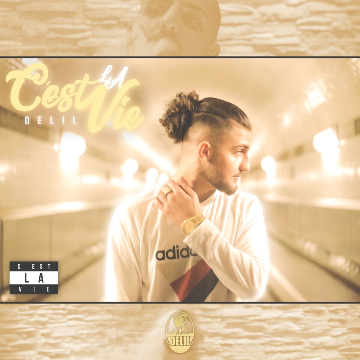 Album cover of C'est la vie