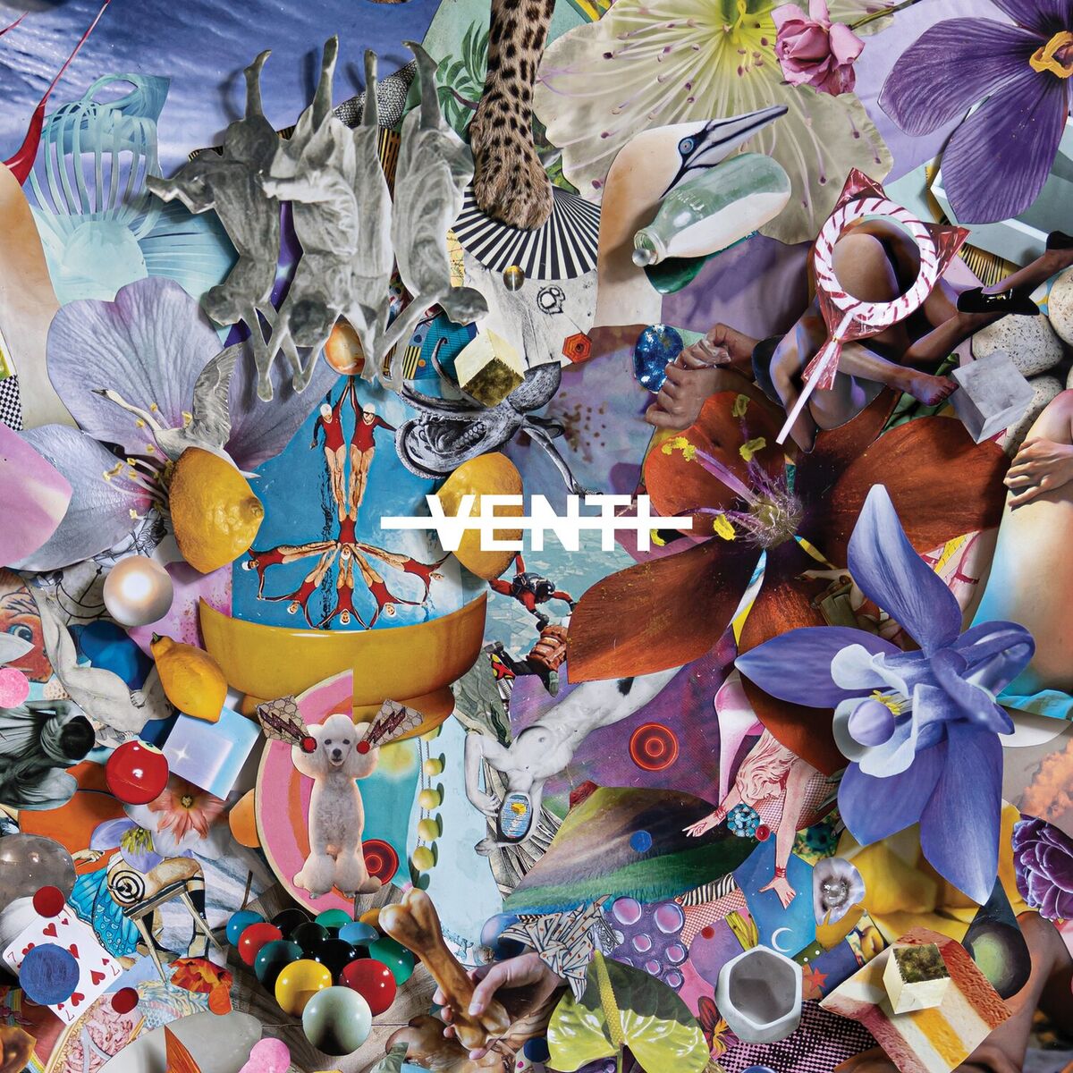Album cover of Venti
