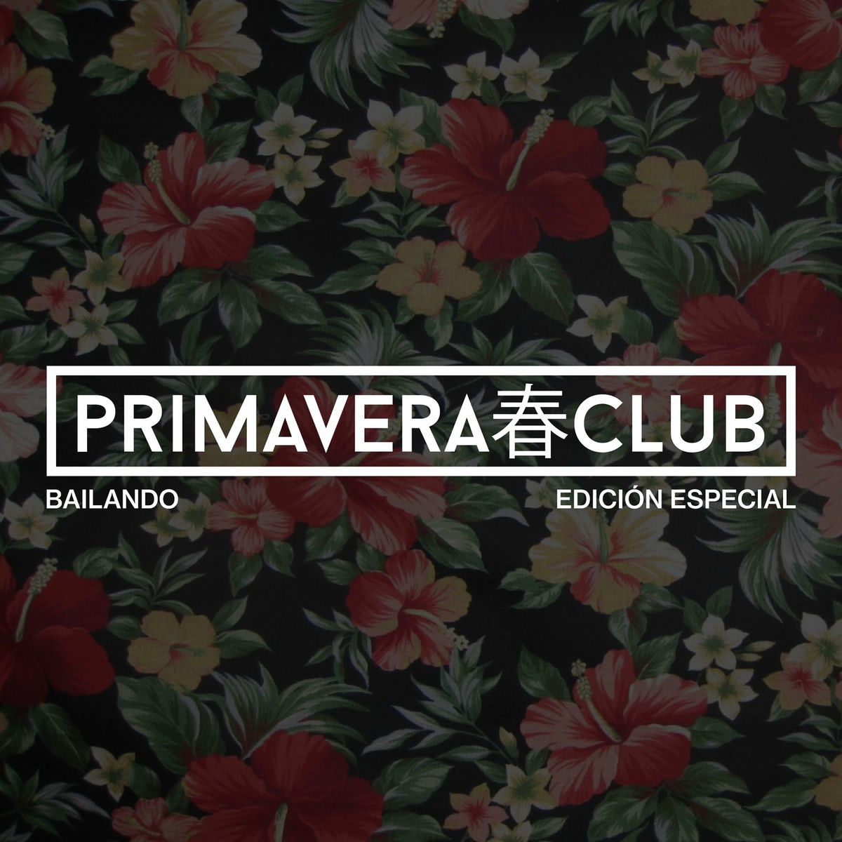 Album cover of Bailando