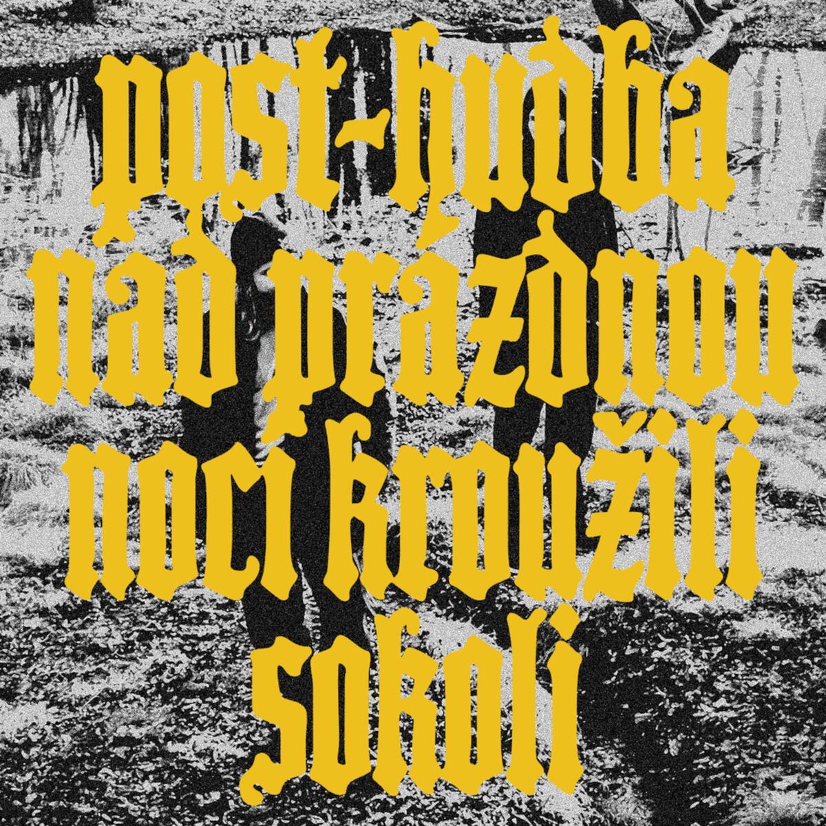 Album cover of Nad prázdnou nocí kroužili sokoli