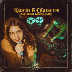 Cover of We Don't Know Why