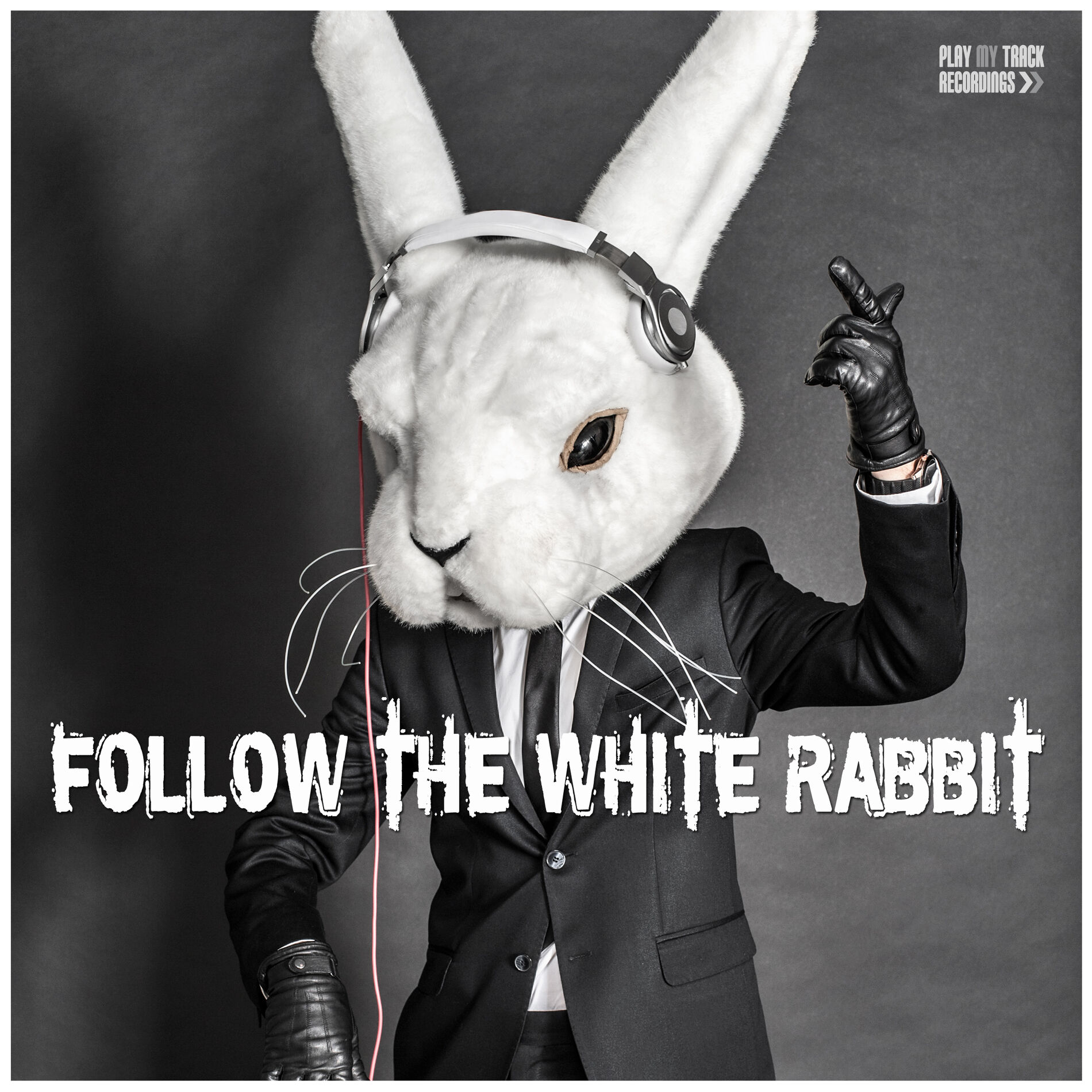 Album cover of Follow the White Rabbit