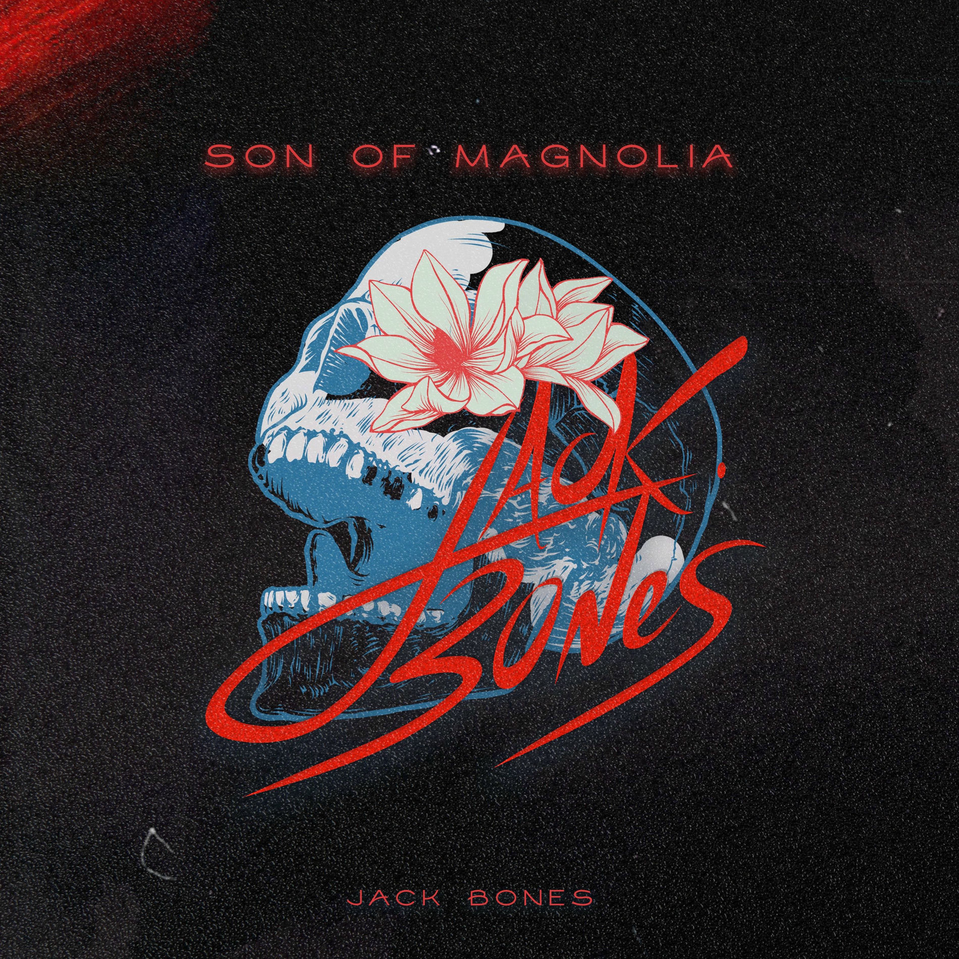 Album cover of Son Of Magnolia (Instrumentales)