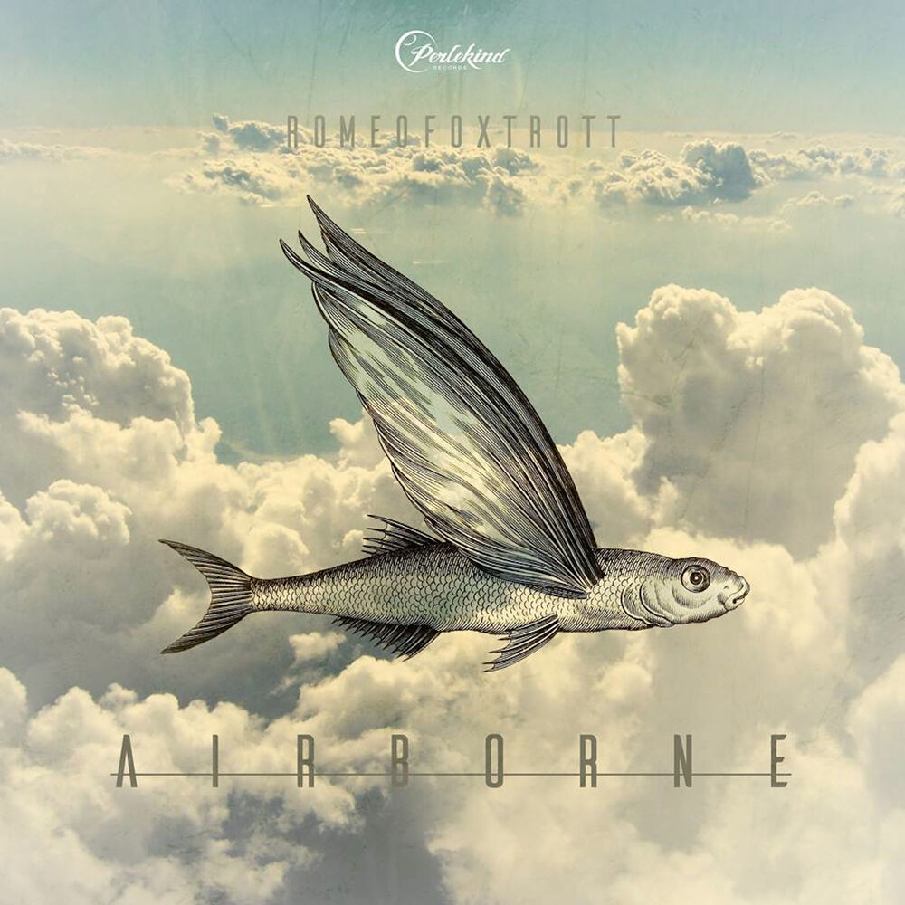 Picture of Airborne