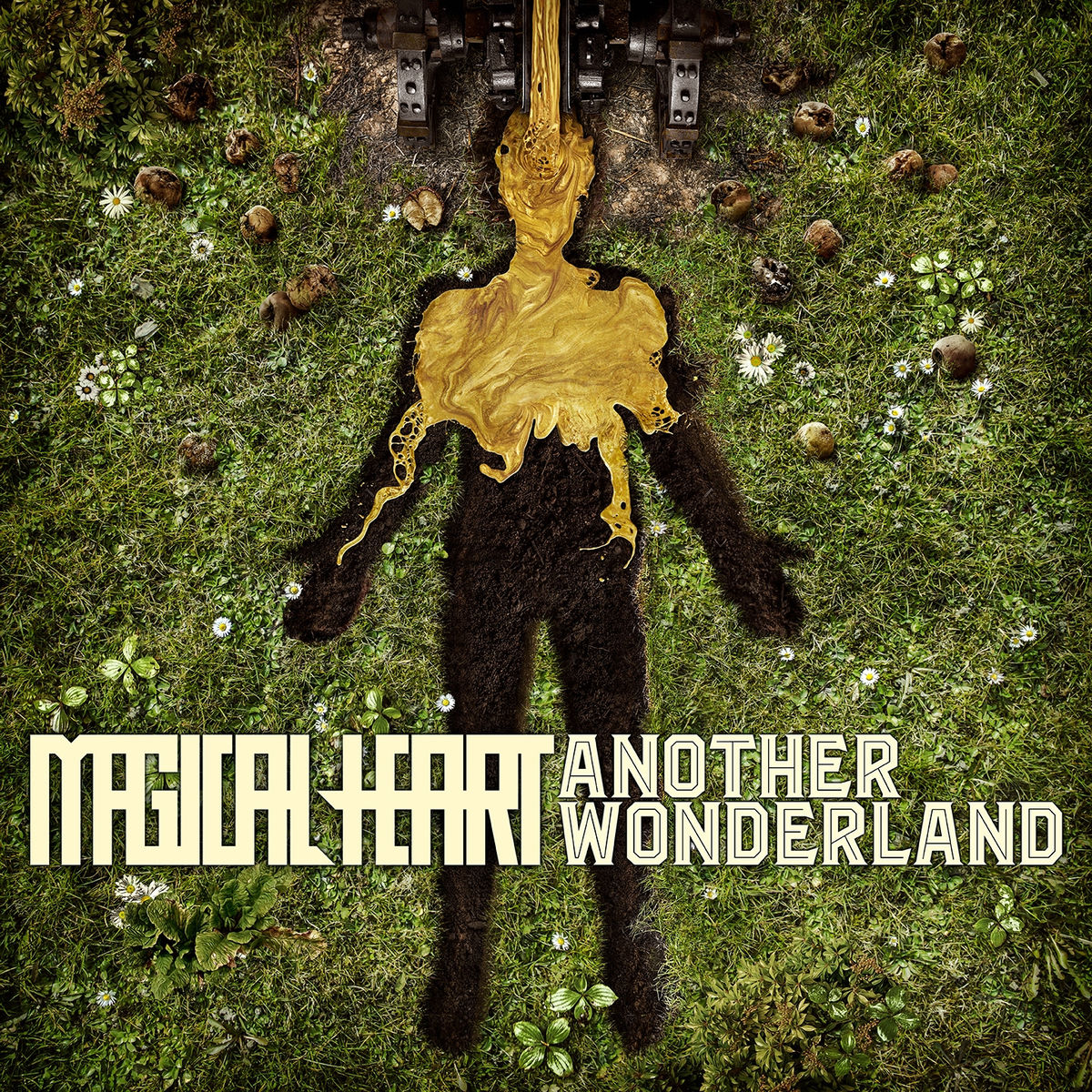 Album cover of Another Wonderland