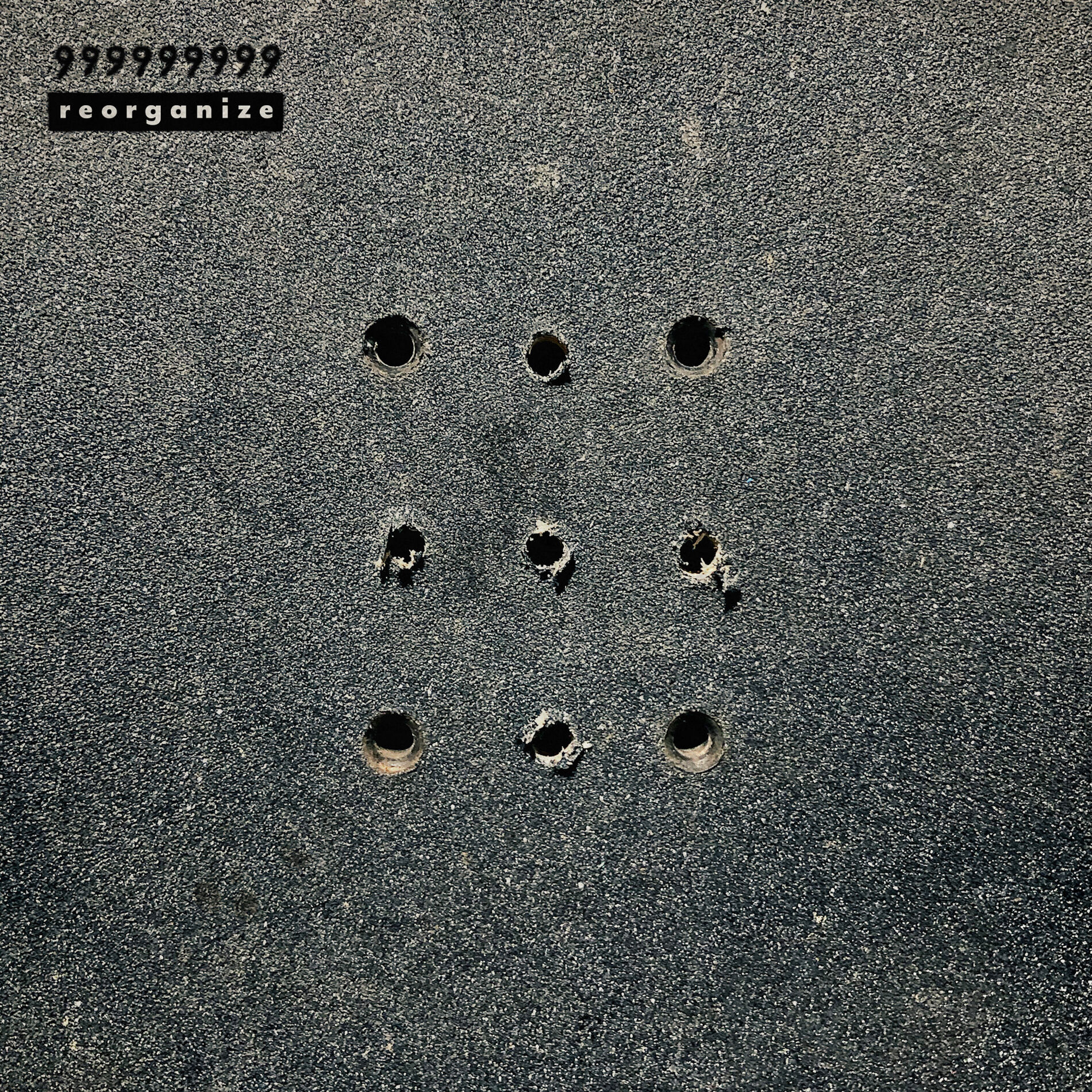 Album cover of reorganize