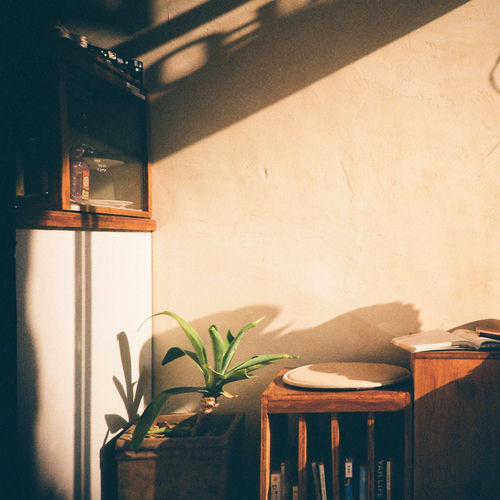 Lee – love is blue – Single