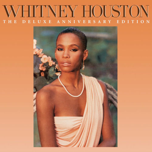 WHITNEY HOUSTON ４点 500x500.jpg