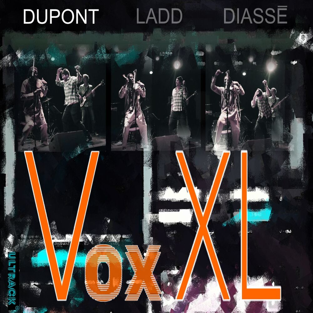 Picture of VoxXL