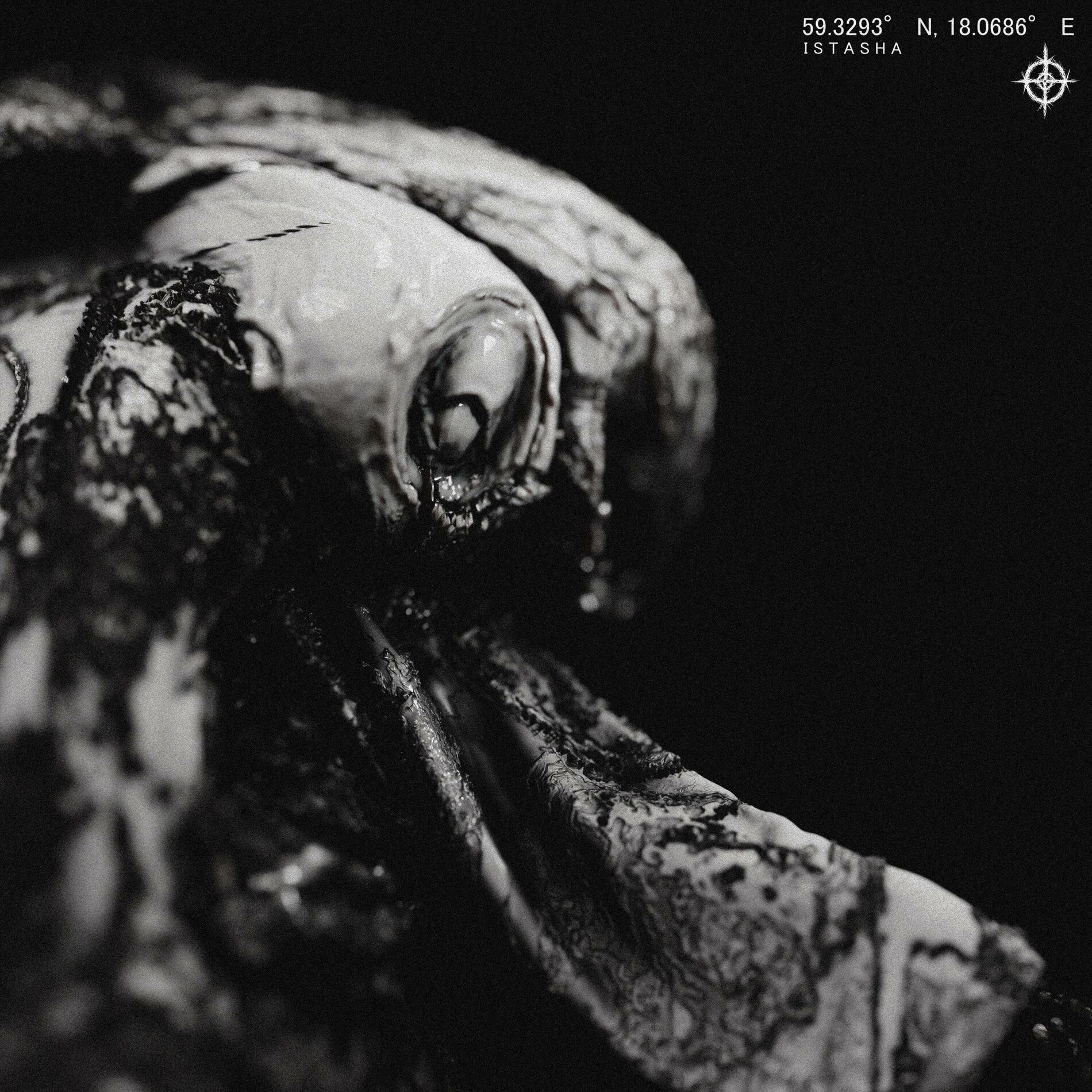 Album cover of PALEBLOOD CERAMICS