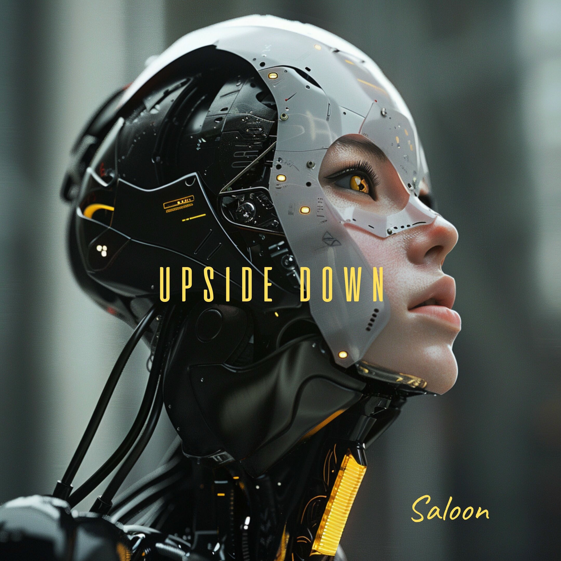 Album cover of Upside Down