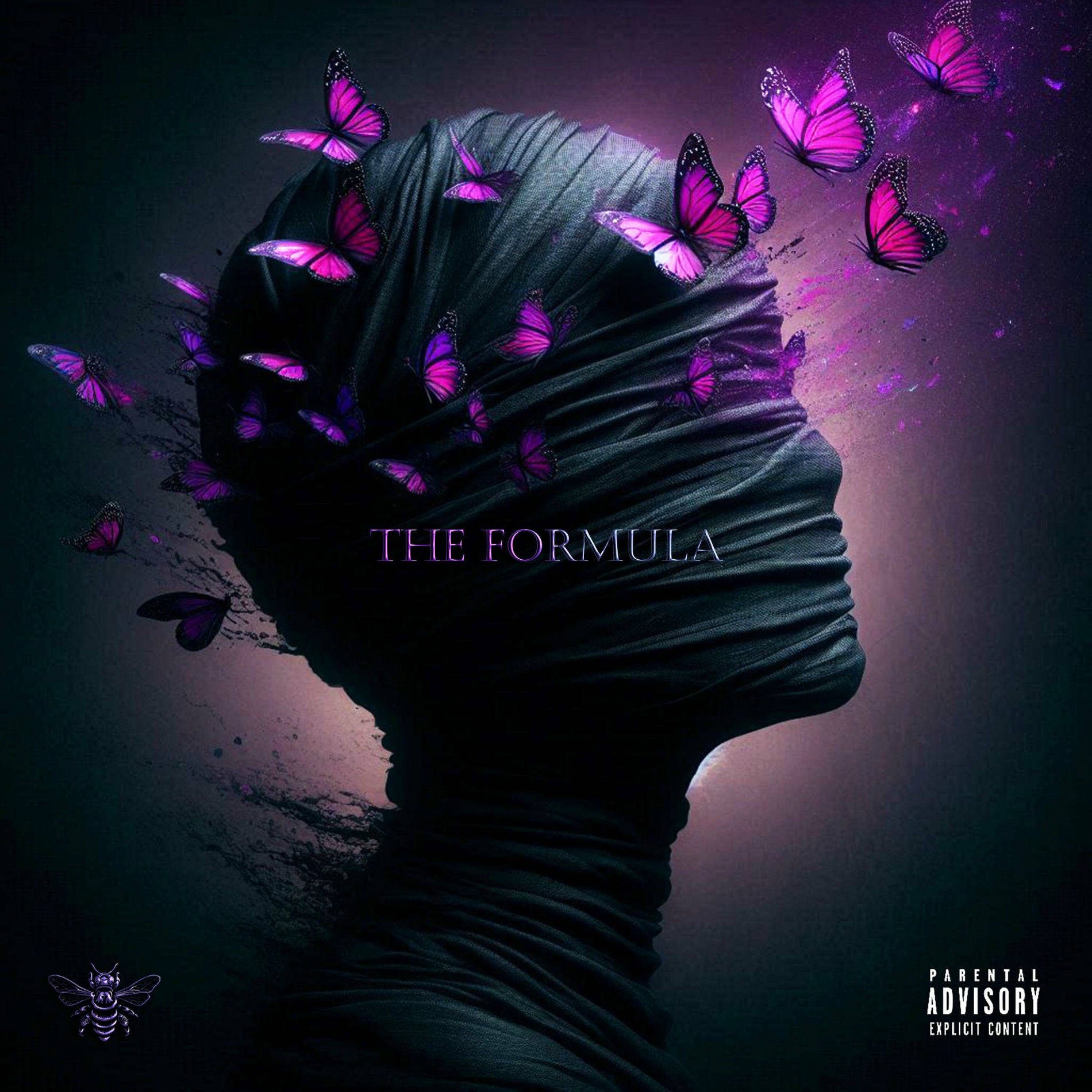Album cover of The Formula