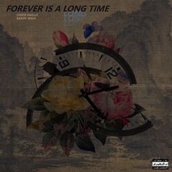 Cover of Forever Is a Long Time