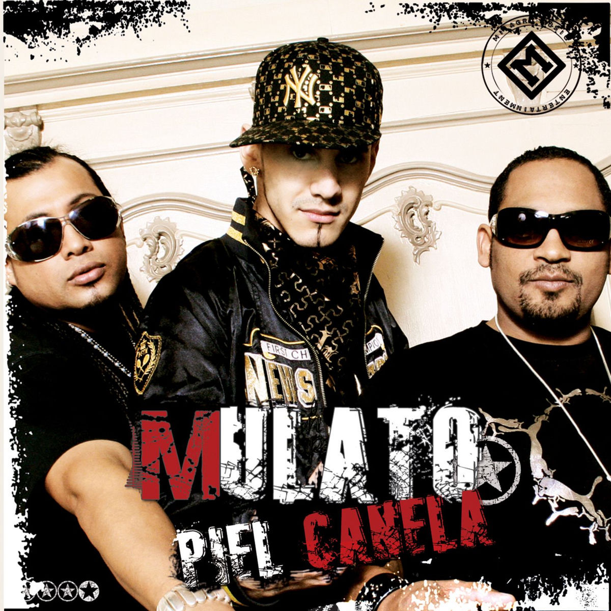 Album cover of Piel Canela